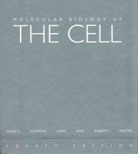 Image of Molecular Biology Of The Cell 4th Edition